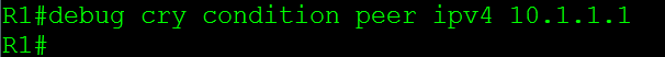 crypto-debug-condition-peer